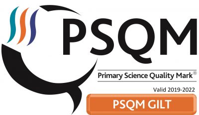 Primary School Quality Mark logo